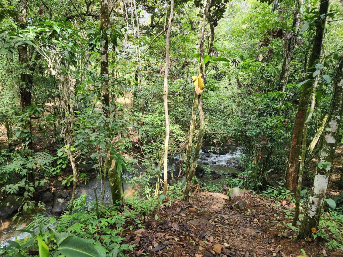 La Pina, Rio Celeste Apart otel Dış mekan fotoğraf